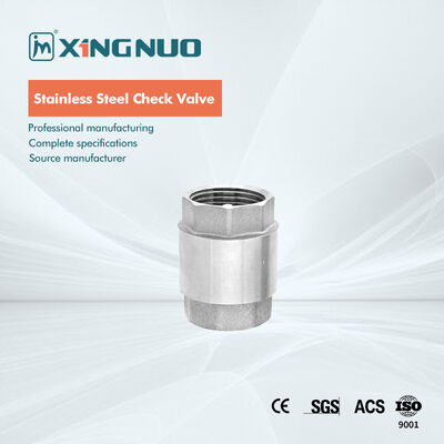 BSP stainless steel check valve unidirectional flow direction valve untuk sistem kontrol fluida industri dan perlindungan pipa